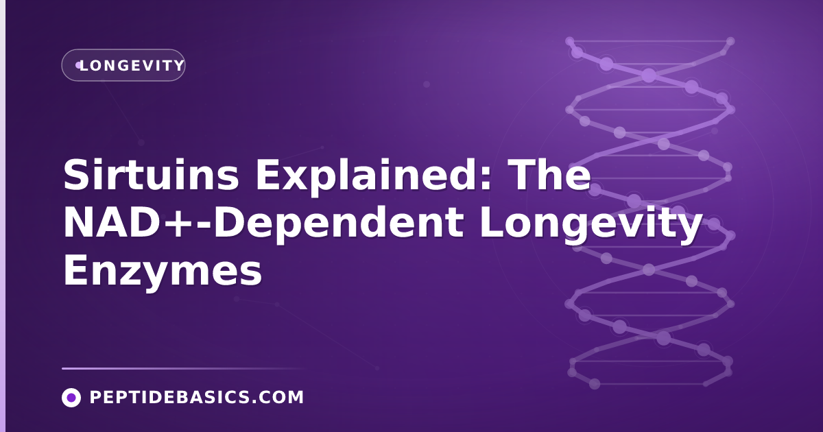 Sirtuins Explained: The NAD+-Dependent Longevity Enzymes
